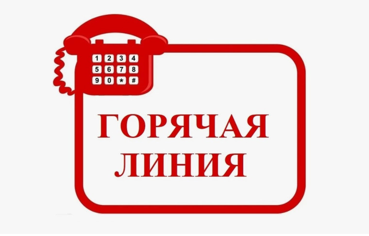Проведение горячей линии.